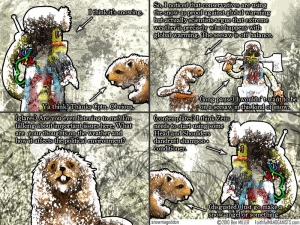 2010-02-17-snowmageddon-faithful-mahoganists
